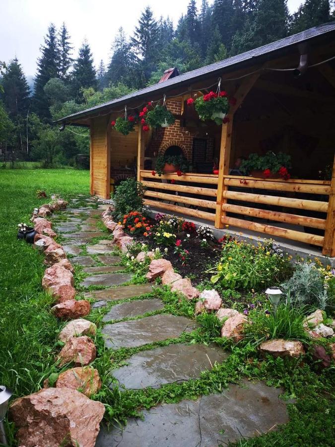 Hotel Casa Pancu Ceahlău Exterior foto